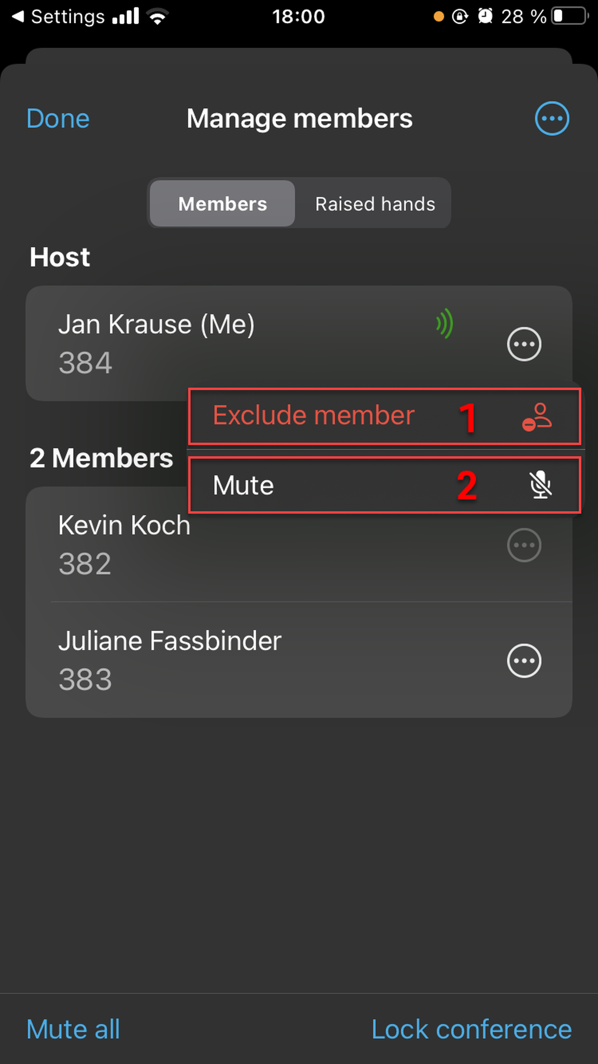 c-1_conference_member_options.PNG