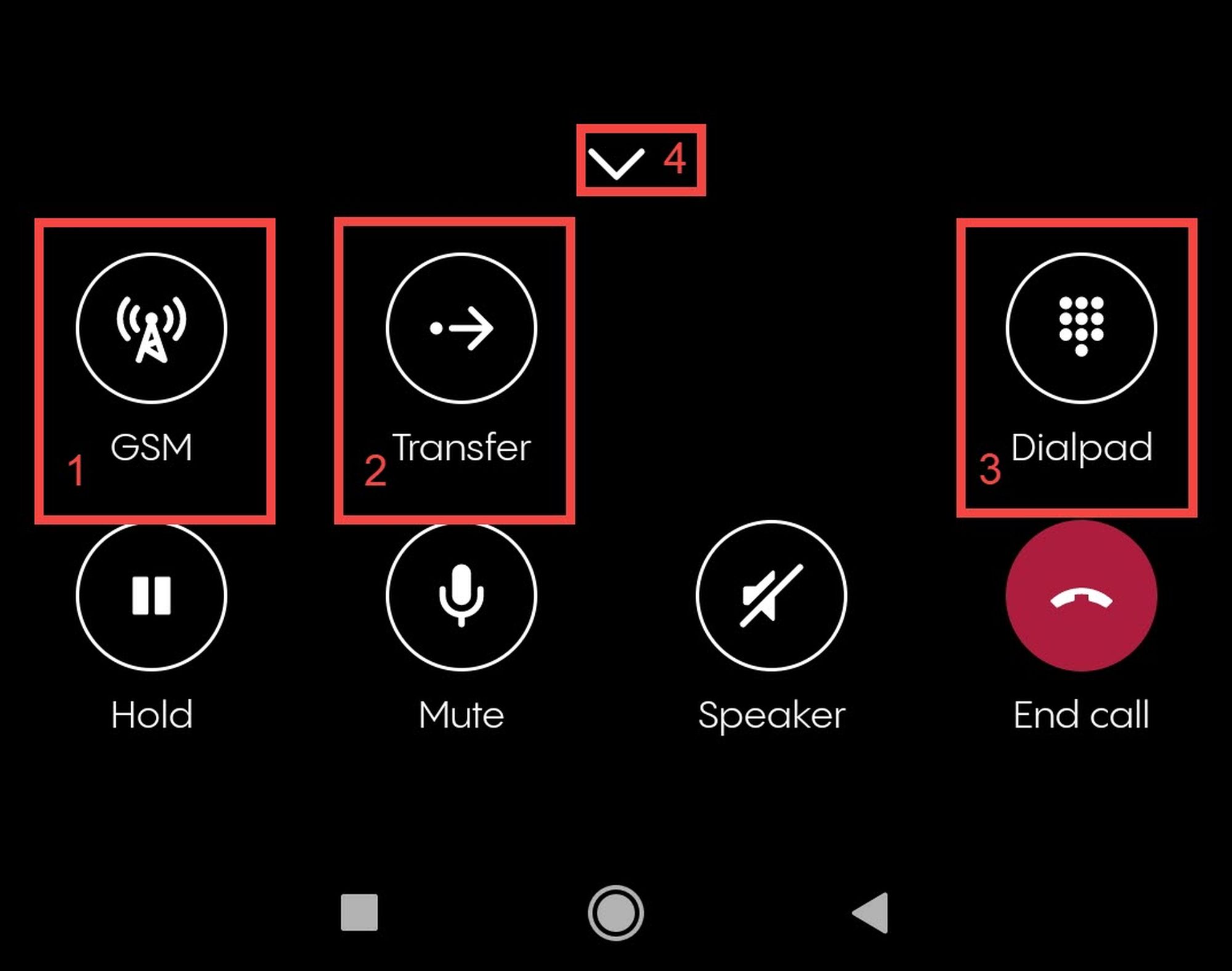 c1_making_calls2_advanced_options.jpg